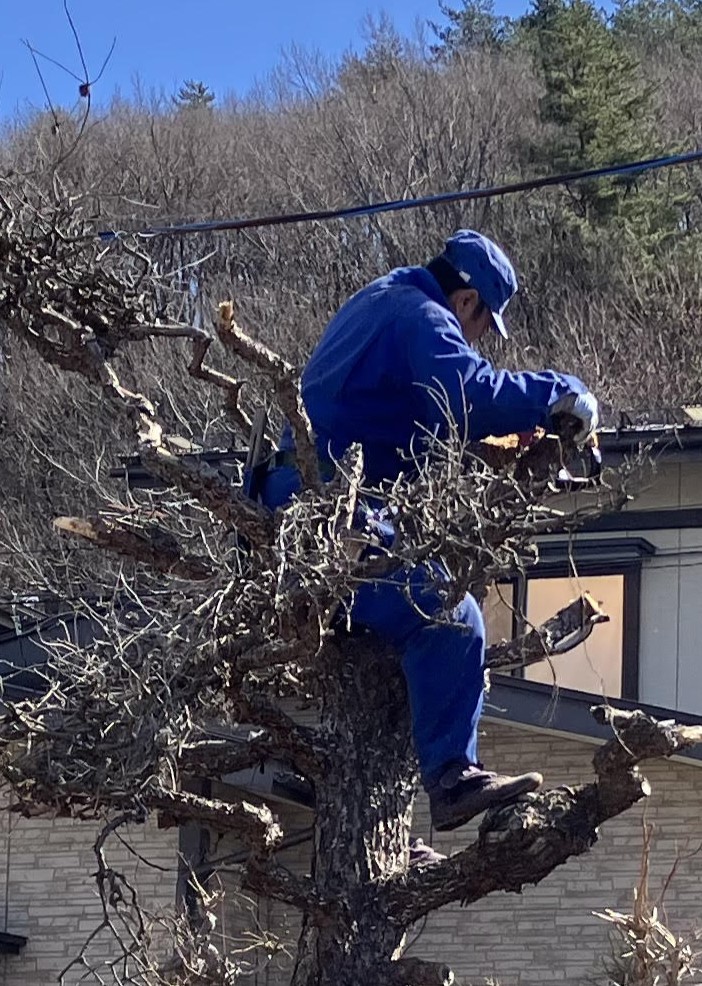 お庭のリフォーム工事　盛岡