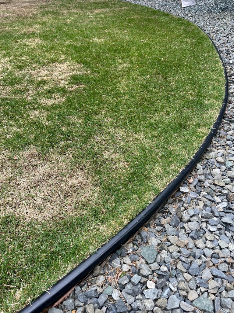 我が家の芝生。これから暖かくなるので手入れをしっかりします！