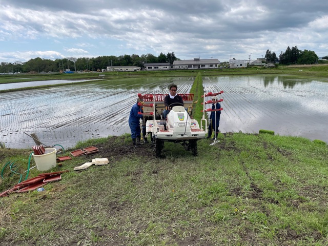 田植えの手伝い。今年も豊作でありますように！
